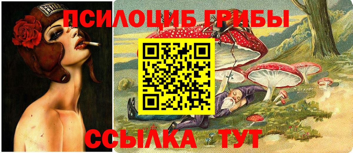 Великий Новгород  Псилоцибиновые грибы Psilocybine cubensis  Вход с VPN 
